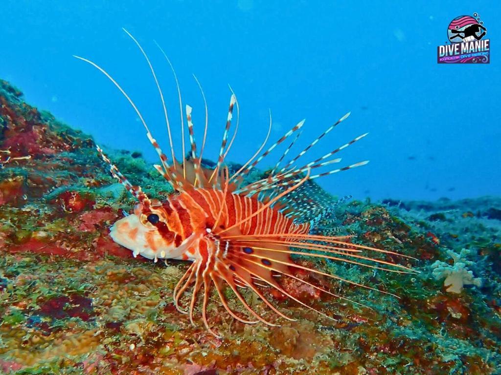 Khaolak Dive Resort Као-Лак Екстер'єр фото